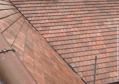 moss roofing solutions 1