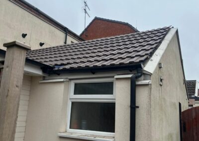 moss roofing solutions 4(1)