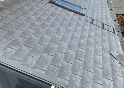 moss roofing solutions 5
